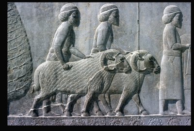 Detail of the Relief Frieze on the East Stairway to the Apadana by Unbekannt Unbekannt